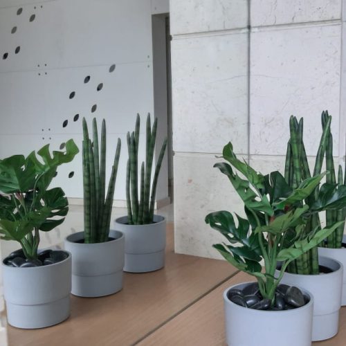 WhatsApp Image 2026-01-05 at 20.19.02 (1)