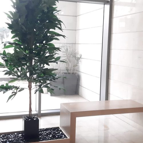 WhatsApp Image 2026-01-14 at 21.54.59